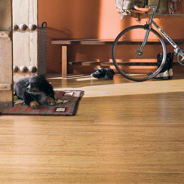 Teragren Bamboo Flooring | Warrenville, IL