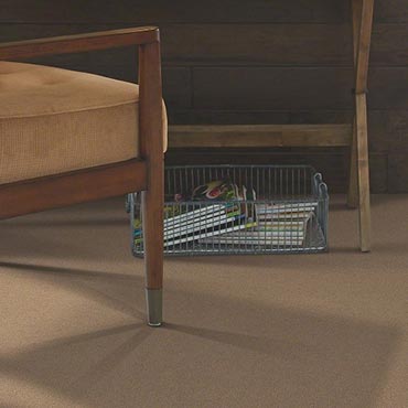 Shaw ClearTouch Carpet | Warrenville, IL