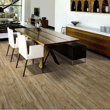 Kraus Luxury Vinyl Floors | Warrenville, IL