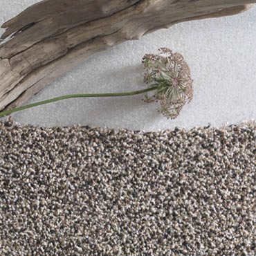 Phenix Carpet | Warrenville, IL