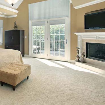Shaw Life Guard Carpet | Warrenville, IL