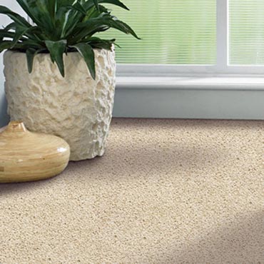 Shaw Carpet Bellera Collection | Warrenville, IL