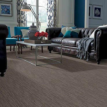 Anso® Nylon Carpet | Warrenville, IL