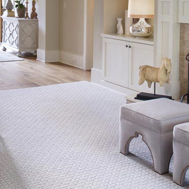 Karastan® Carpet | Warrenville, IL