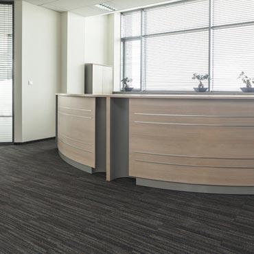Kraus Contract Carpet | Warrenville, IL