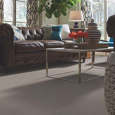 Shaw Carpet | Warrenville, IL